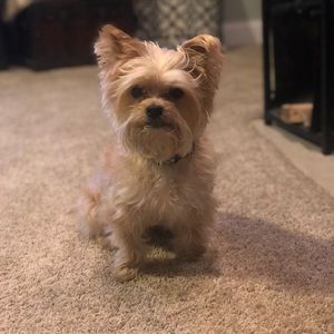 Meet your Posher, Kelly